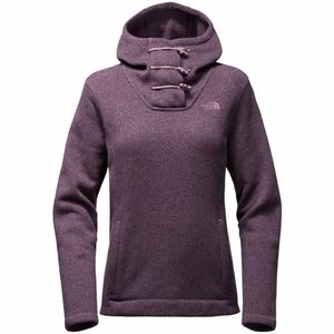 NWT!  North Face Women's Crescent Hooded Pullover